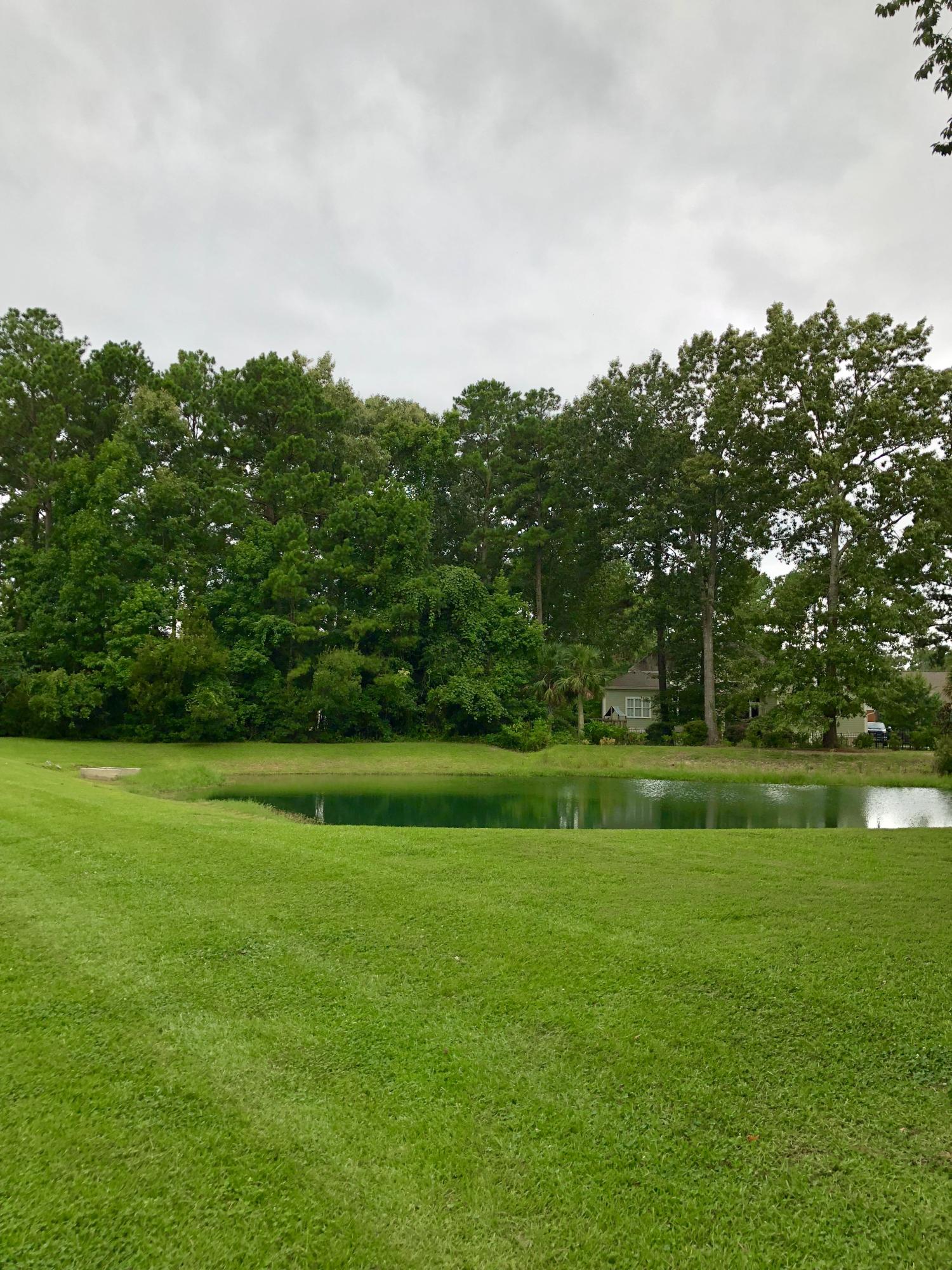 4104 Duck Club Road Hollywood, SC 29470 - Photo 4 of 9 lush green lot