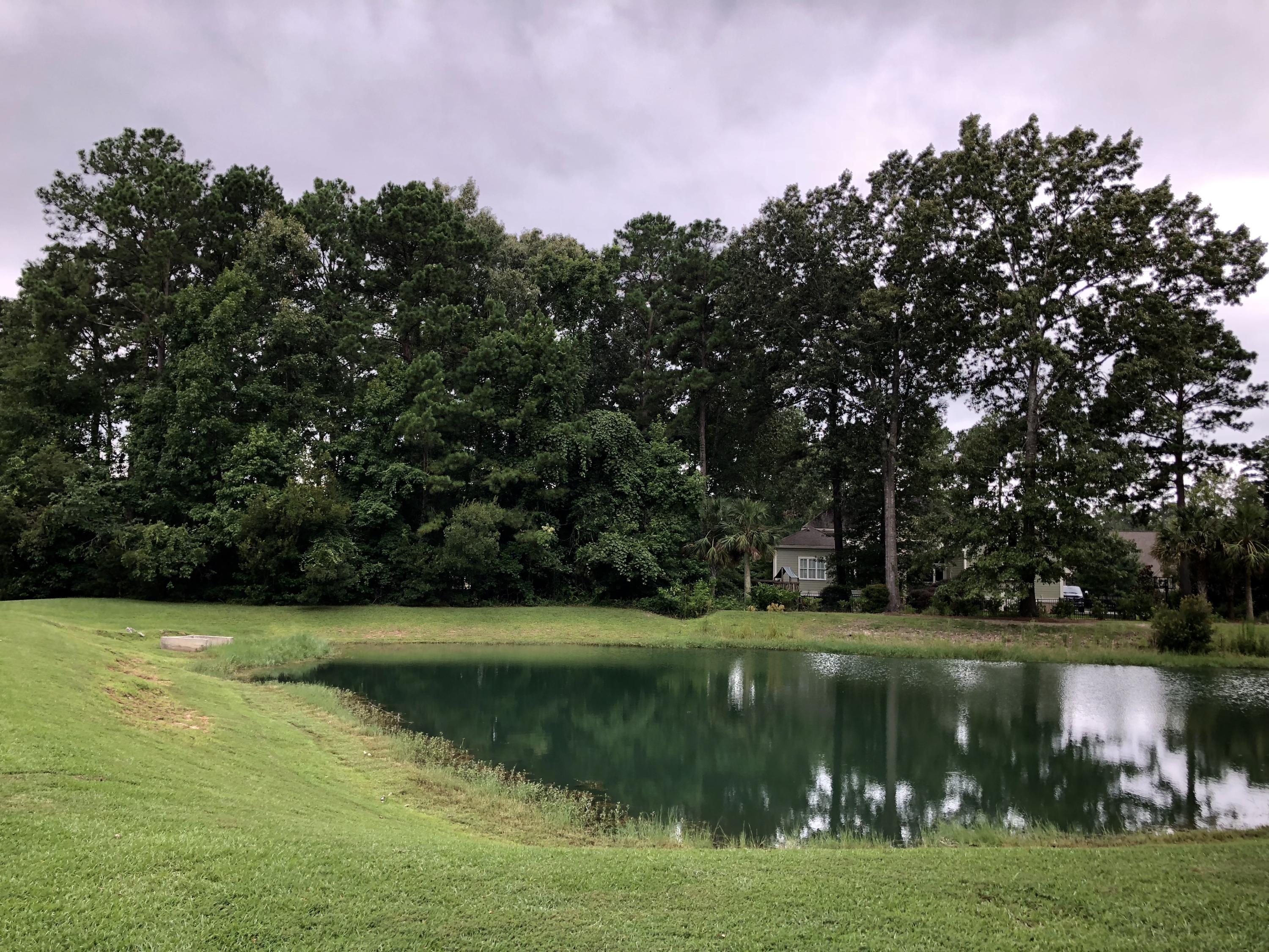 4104 Duck Club Road Hollywood, SC 29470 - Photo 5 of 9 View of lot