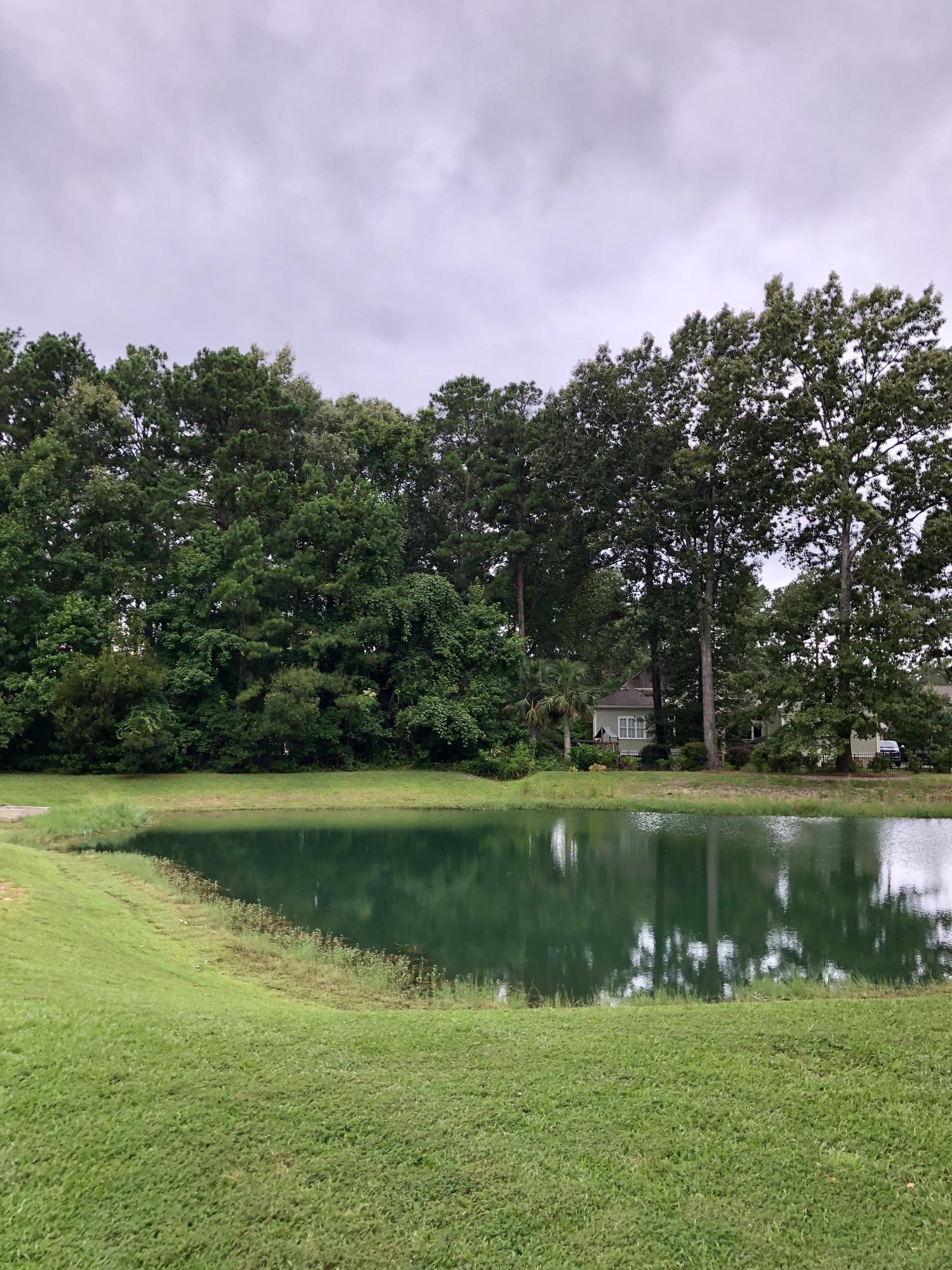 4104 Duck Club Road Hollywood, SC 29470 - Photo 8 of 9 Pond View