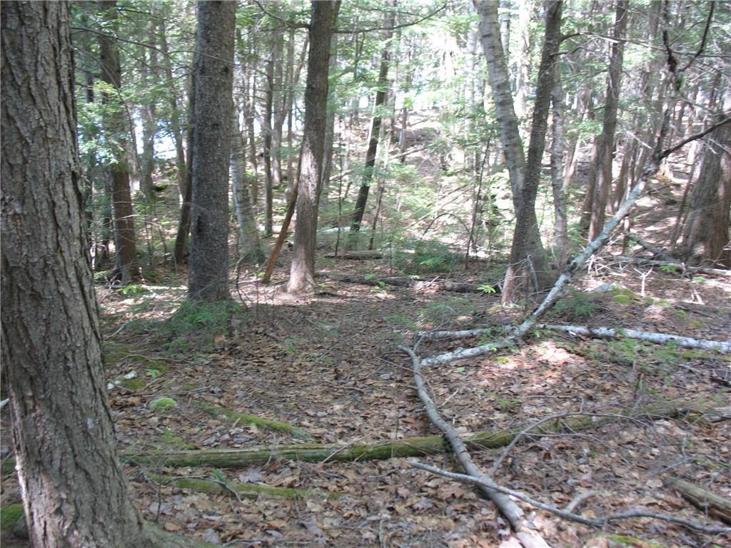 Map 7-lot Map 7-lot Pullyard Road Sangerville, ME 04479 - Photo 7 of 14 Photo