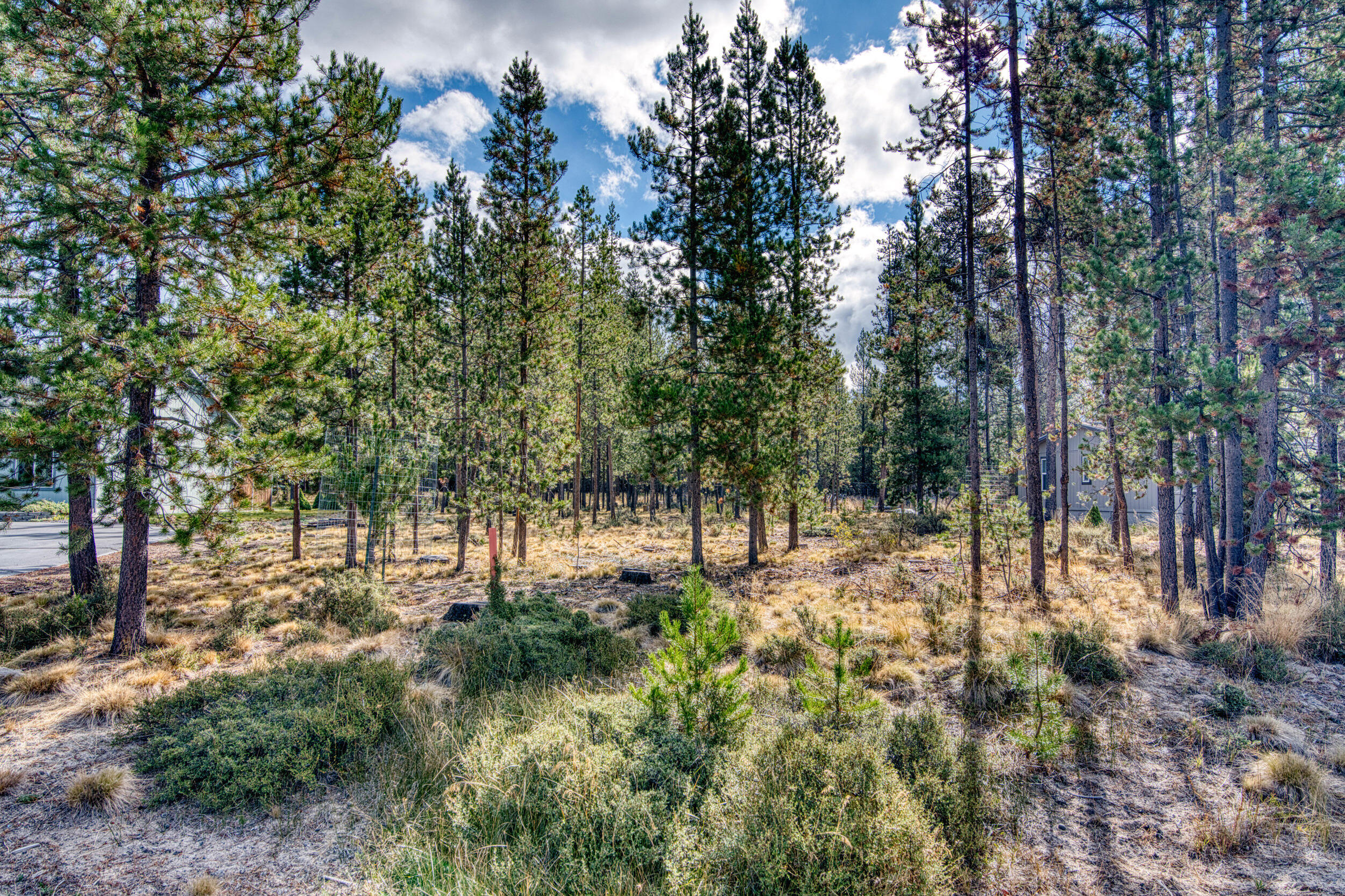 55956 Black Duck Road Bend, OR 97707 - Photo 1 of 6 black duck side lot 1
