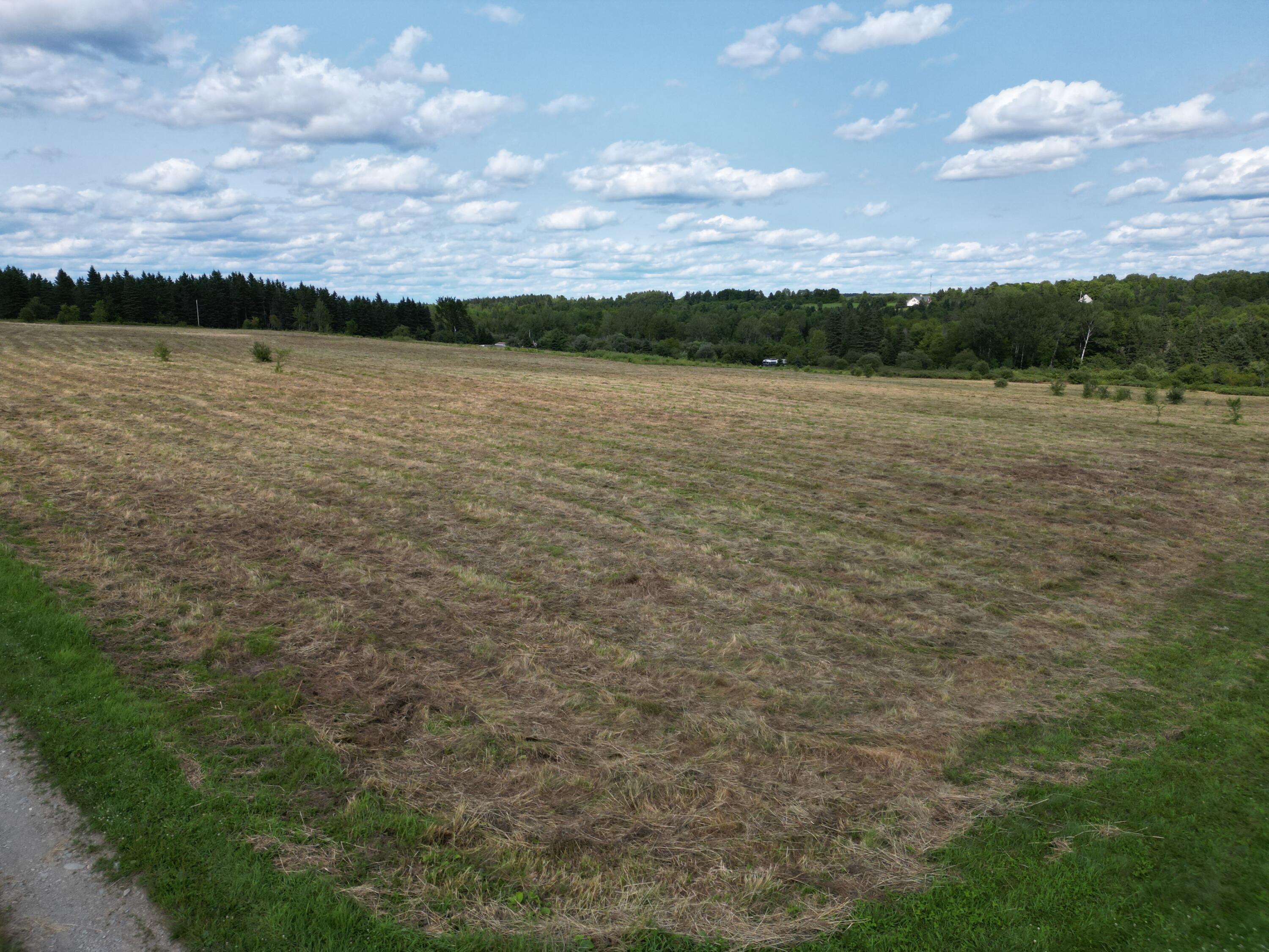 Lot 7 Happy Corner Road Patten, ME 04765 - Photo 14 of 23 DJI_0952