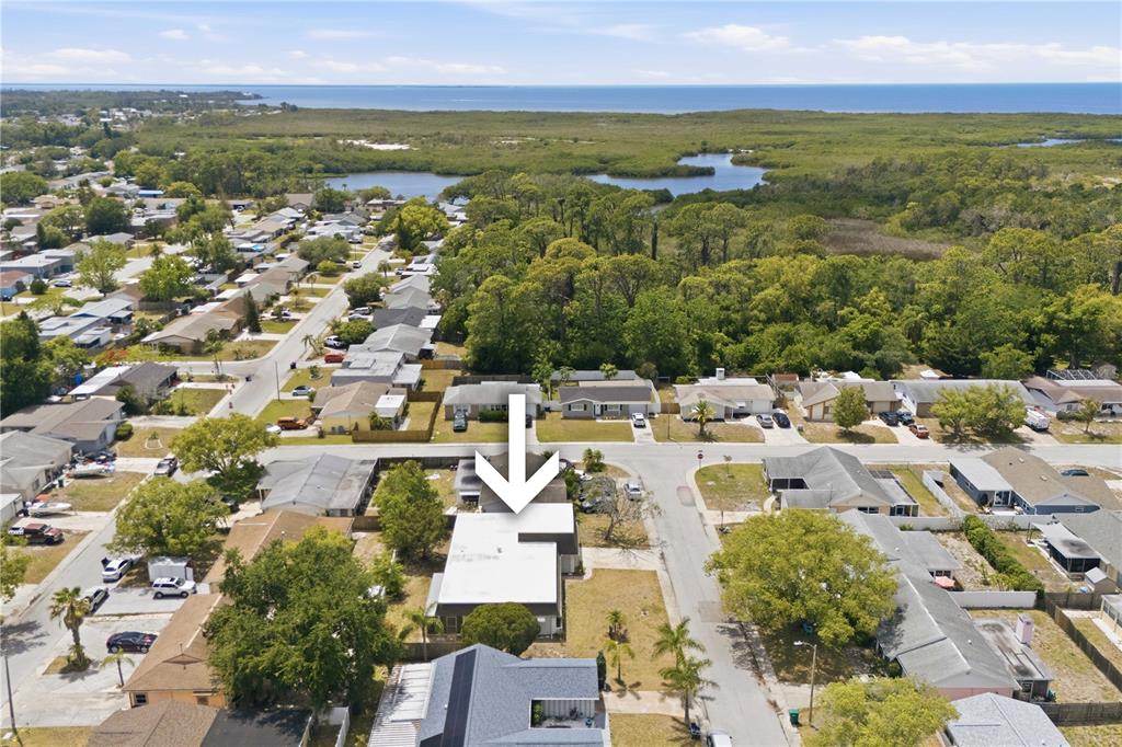 4018 Cashmere Drive New Port Richey, FL 34652 - Photo 37 of 39