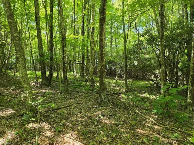 $79,000 | 76 White Tail Trail, West Jefferson, NC 28694