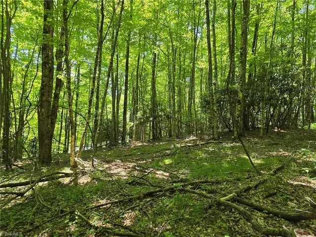 $79,000 | 76 White Tail Trail, West Jefferson, NC 28694