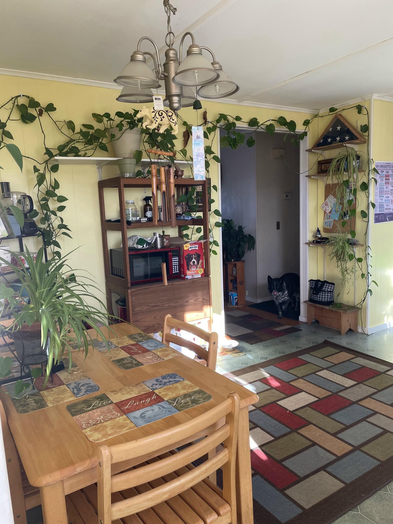 22 New England Road Augusta, ME 04330 - Photo 11 of 40 65998405414__2A0AE841-CAFC-4D8A-91FF-F75