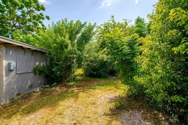 a view of a yard with plants and tree