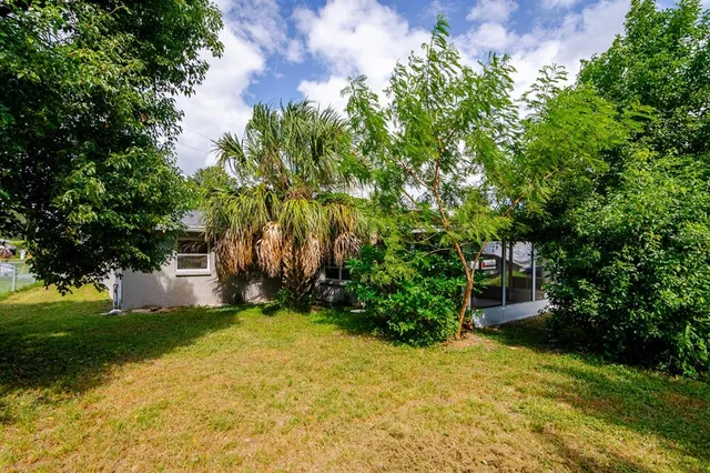 a view of a backyard with plants and large trees