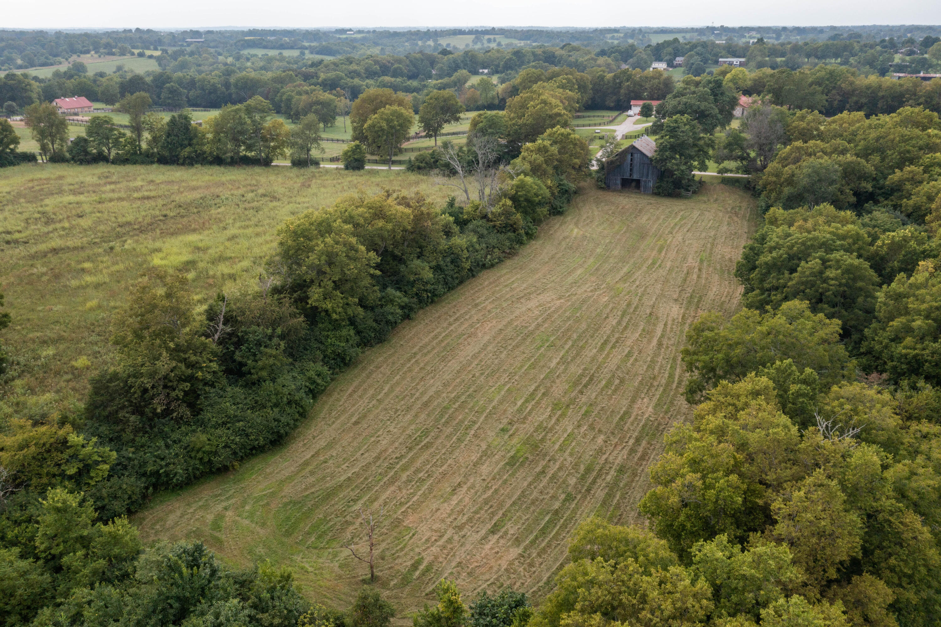 4129 Delaney Ferry Road Versailles, KY 40383 - Photo 9 of 77 4129 Delaney Ferry (59 of 60)