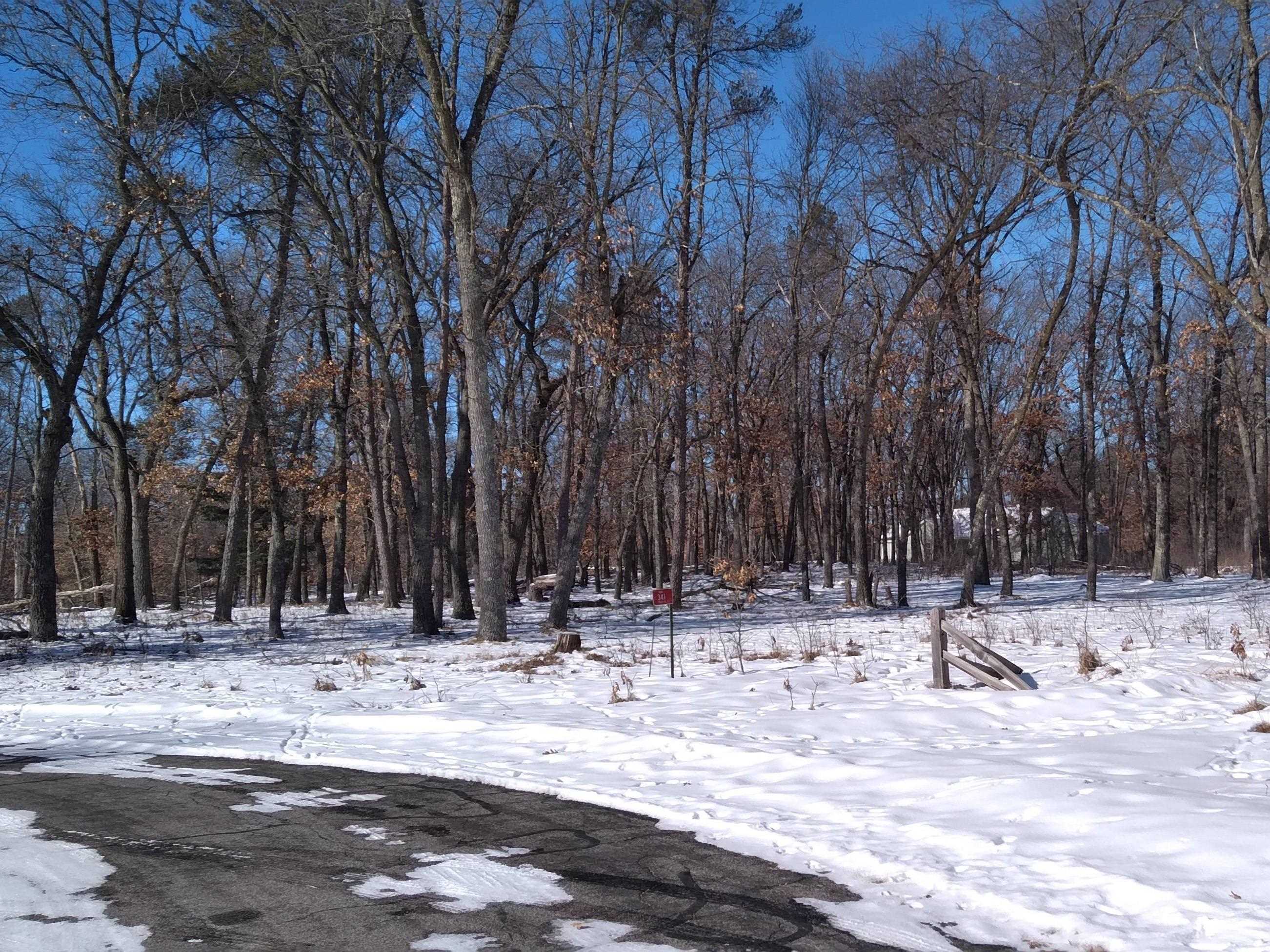 341 Timber Trail Nekoosa, WI 54457 - Photo 4 of 15