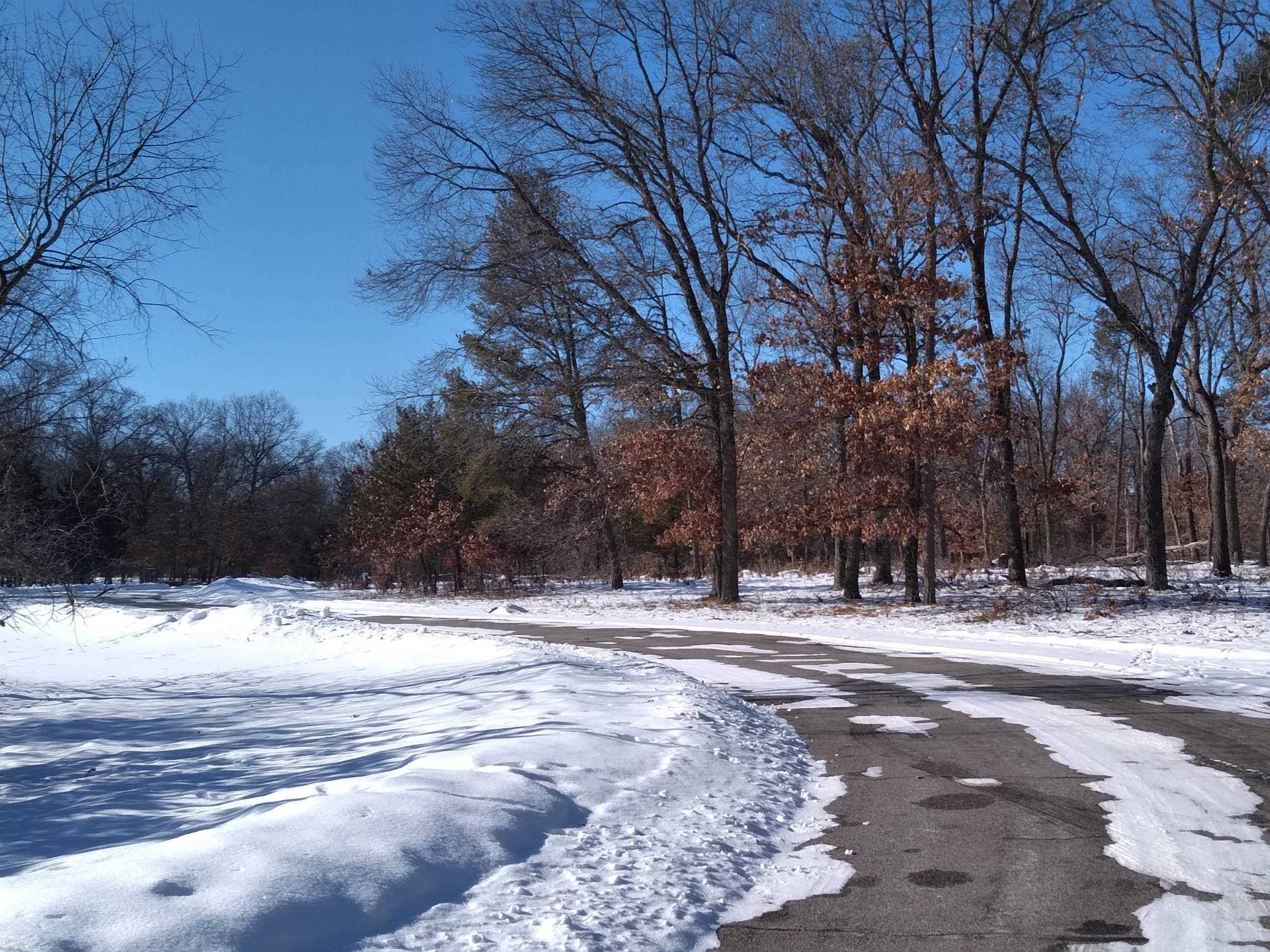 341 Timber Trail Nekoosa, WI 54457 - Photo 5 of 15