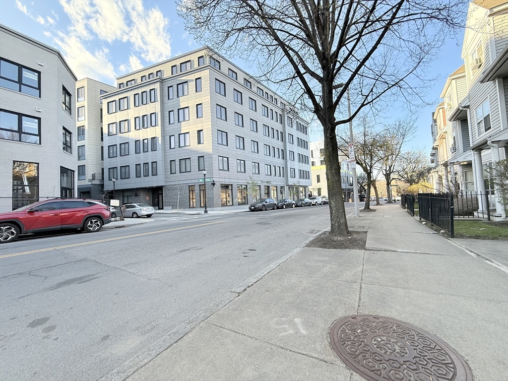 16 Taber Street, Unit 203 Boston, MA 02119 - Photo 18 of 26