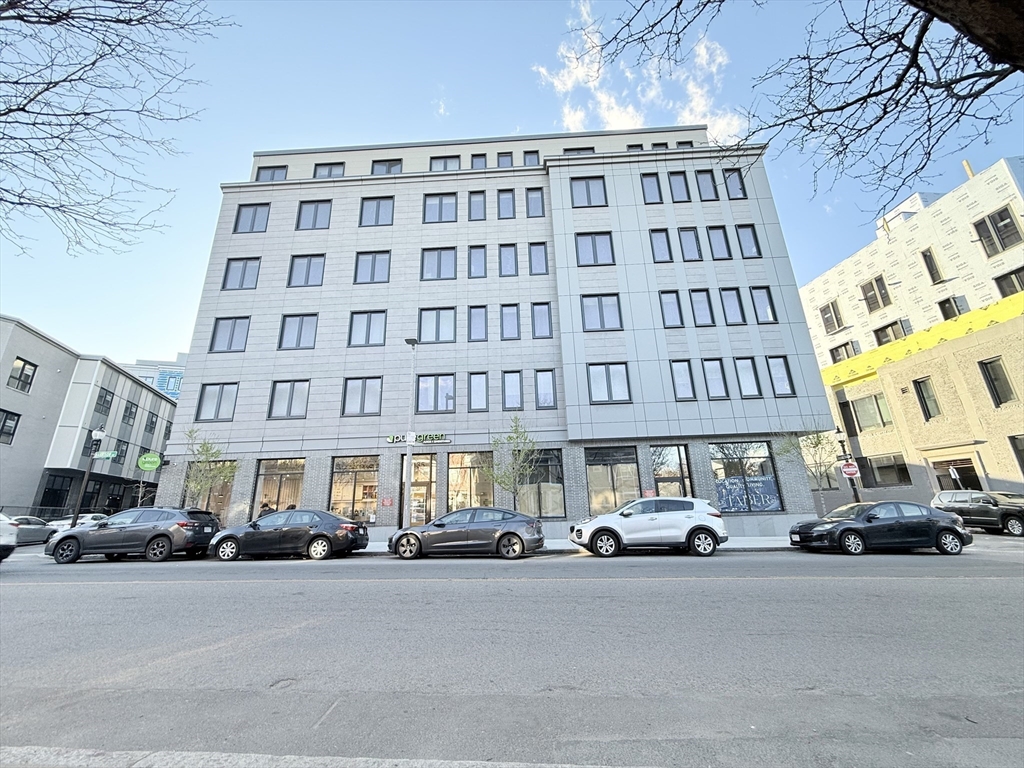 16 Taber Street, Unit 203 Boston, MA 02119 - Photo 20 of 26