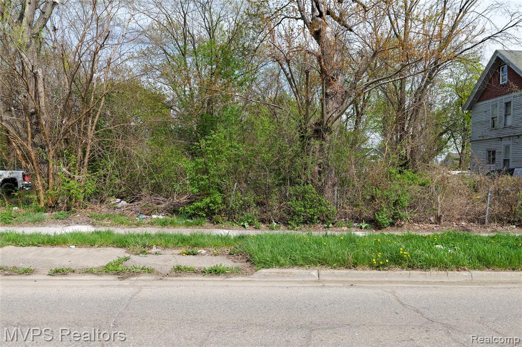 61 South Paddock Street Pontiac, MI 48342 - Photo 1 of 2