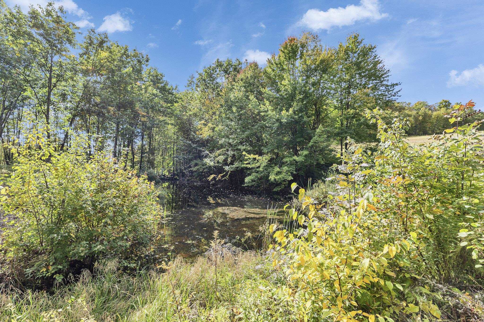125 Parker Road Jaffrey, NH 03452 - Photo 43 of 58 Gallery Image 43