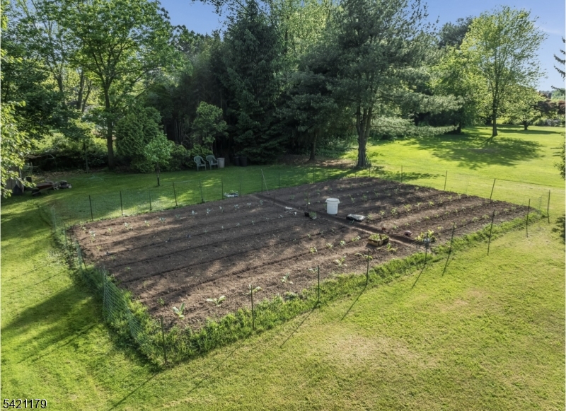 1868 Amwell Road Somerset, NJ 08873 - Photo 19 of 20 a view of a park with large trees