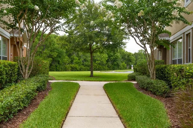 a view of a garden with plants