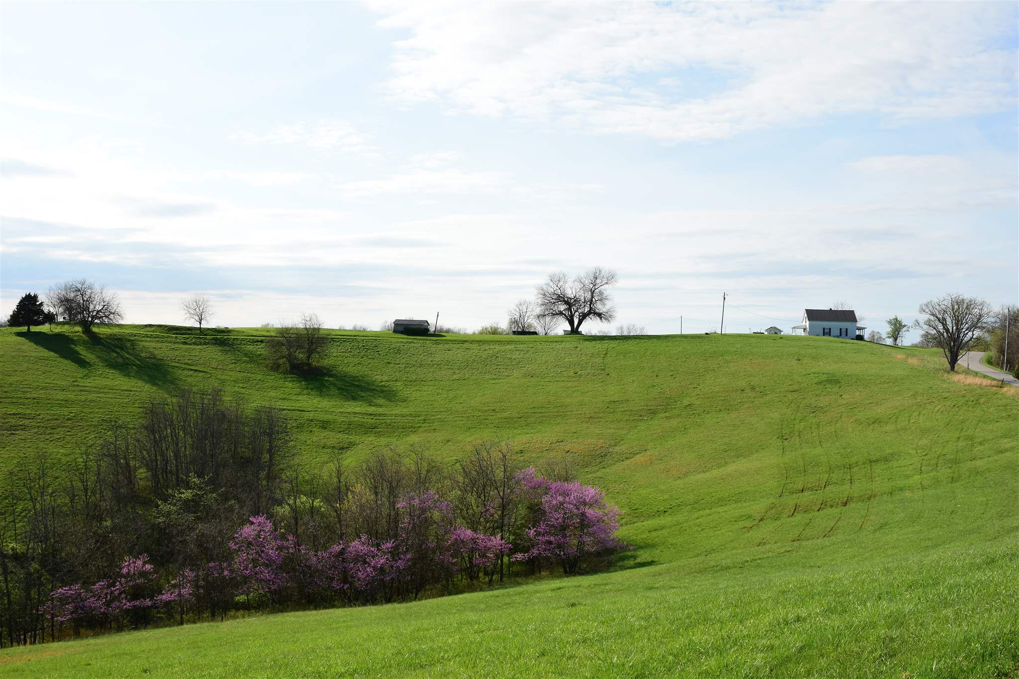 654 Belmont Road Brooksville, KY 41004 - Photo 18 of 50 Gallery Image 18