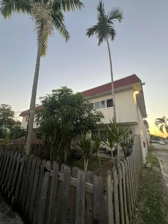 a picture of palm trees