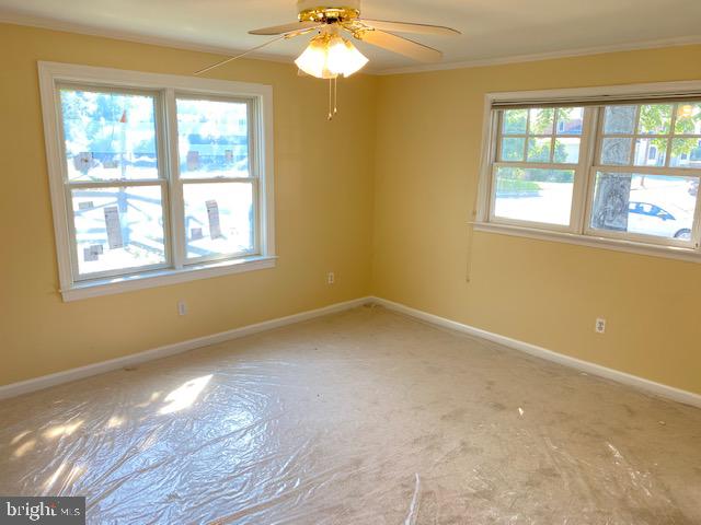 5901 35th Street North Arlington, VA 22207 - Photo 10 of 28 fresh carpet