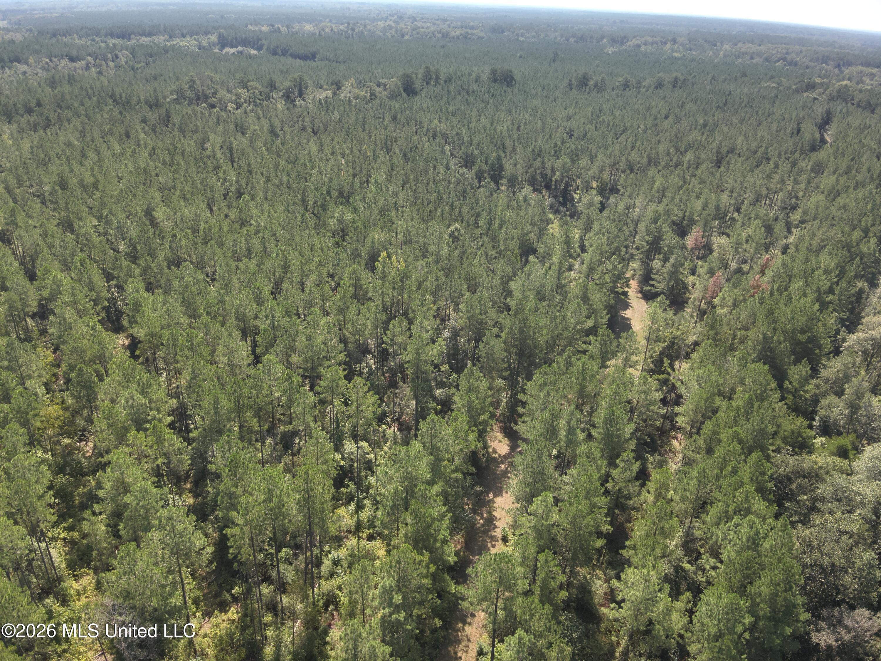 40 J W Jones Road Oak Vale, MS 39656 - Photo 8 of 16 DJI_20260826105307_0018_V