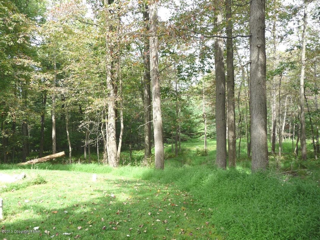 2414 Point Phillips Road Kunkletown, PA 18058 - Photo 6 of 13 a view of outdoor space and green space