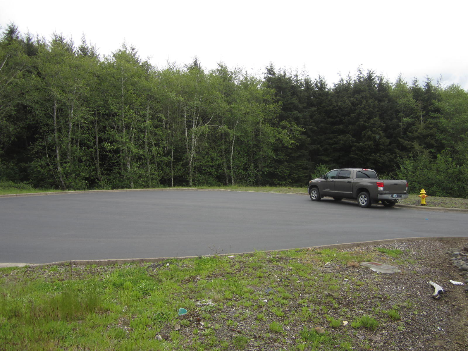 Lot 135 Sequoia Loop Tillamook, OR 97141 - Photo 5 of 6 View from lot