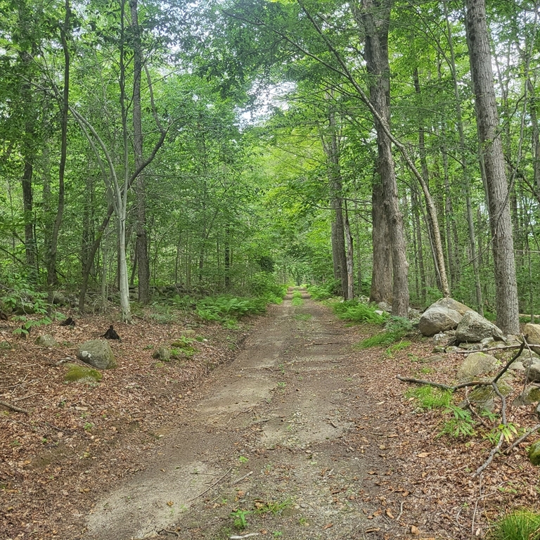 0 Lynes Road Chester, MA 01011 - Photo 1 of 4