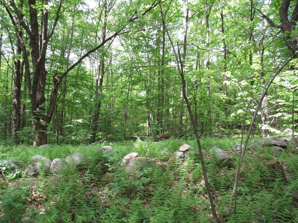 0 Lynes Road Chester, MA 01011 - Photo 2 of 4