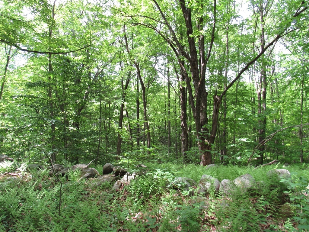 0 Lynes Road Chester, MA 01011 - Photo 3 of 4
