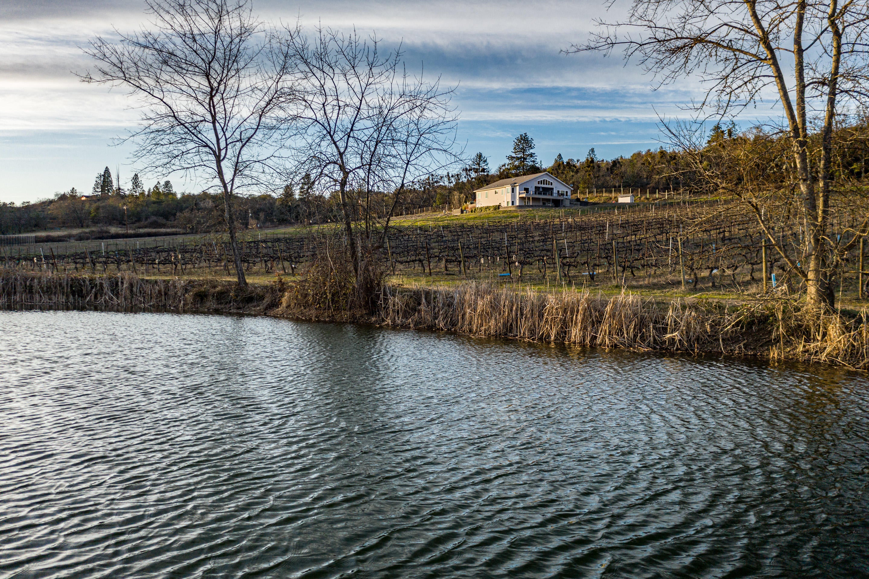 3578 Pioneer Road Medford, OR 97501 - Photo 9 of 46 Copy of 0 (7a)