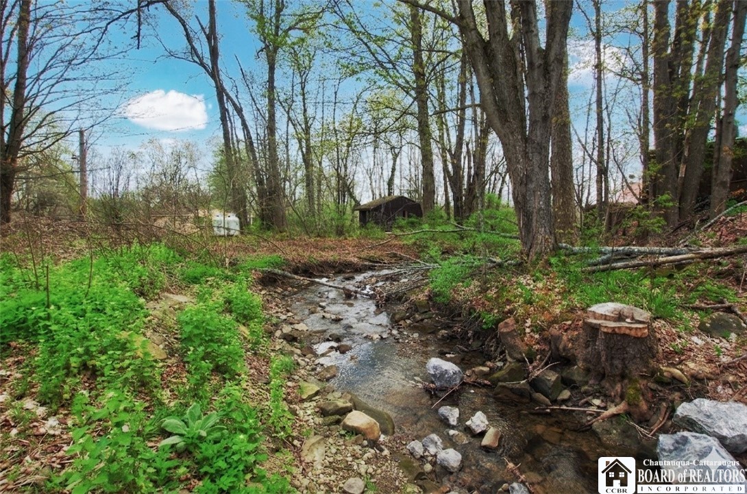 876 Swede Road Harmony, NY 14767 - Photo 6 of 25
