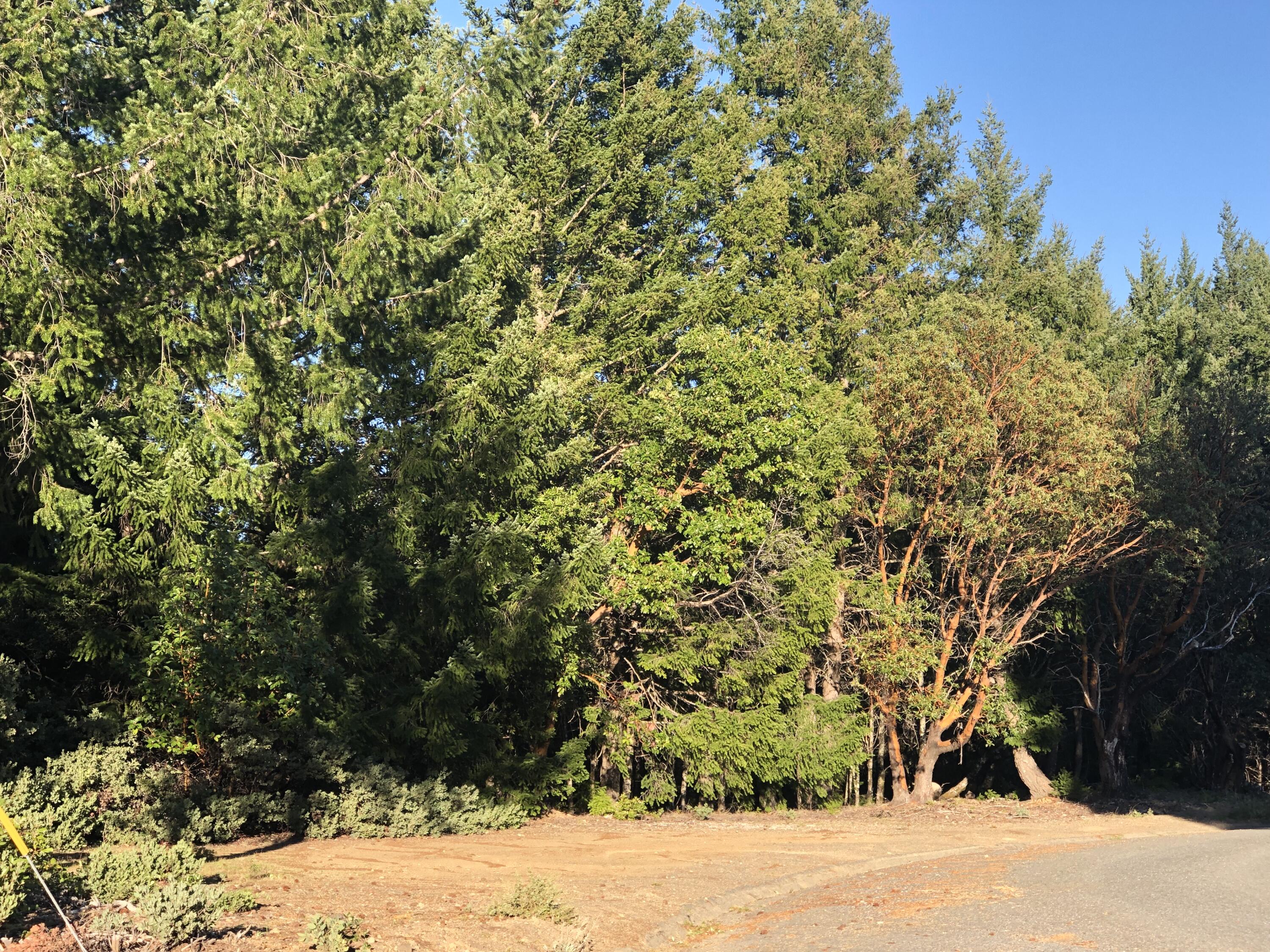 624 Toth Road Shelter Cove, CA 95589 - Photo 2 of 4