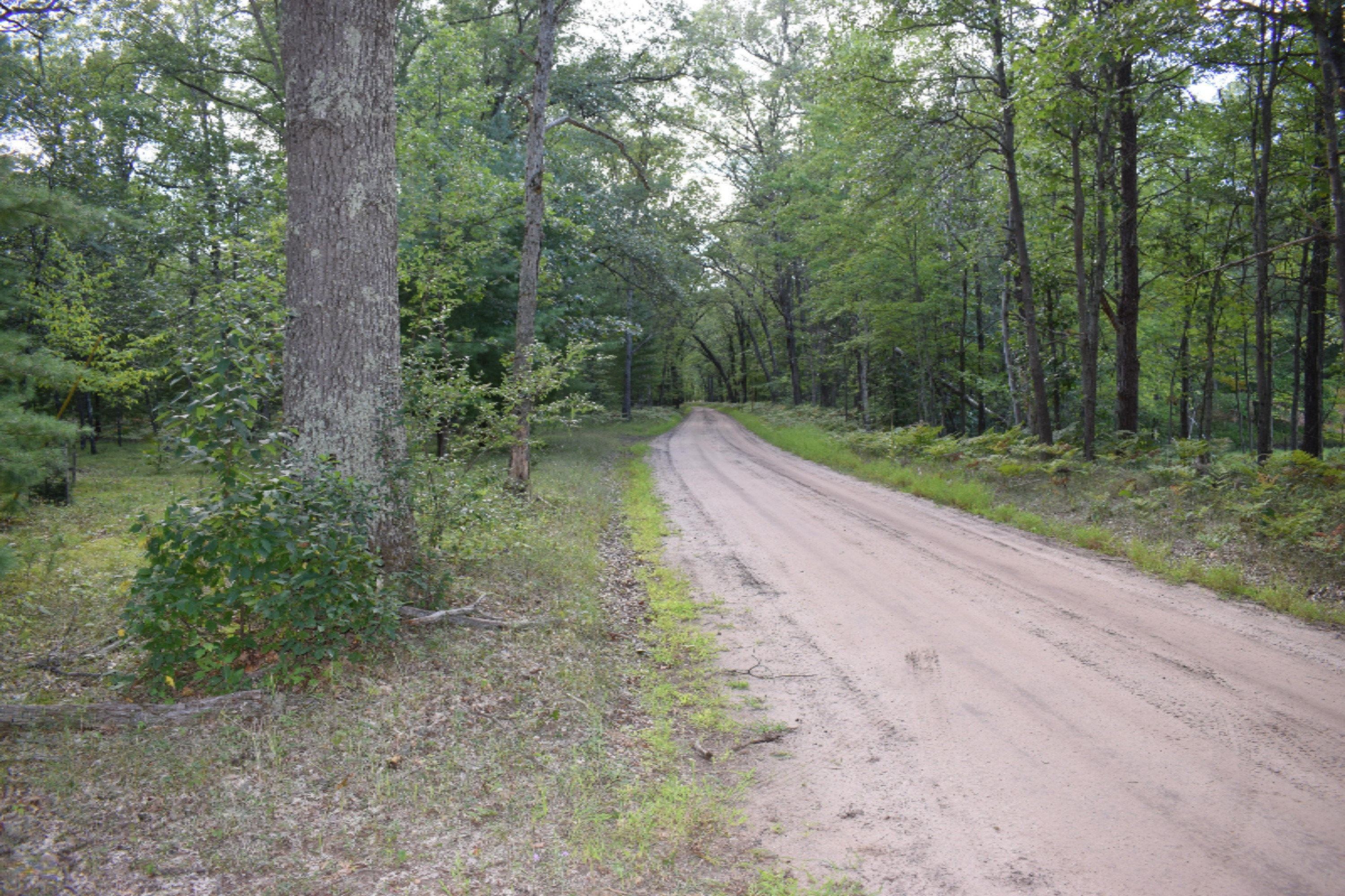 9779 West 7 Mile Road Irons, MI 49644 - Photo 17 of 24 DSC_0024