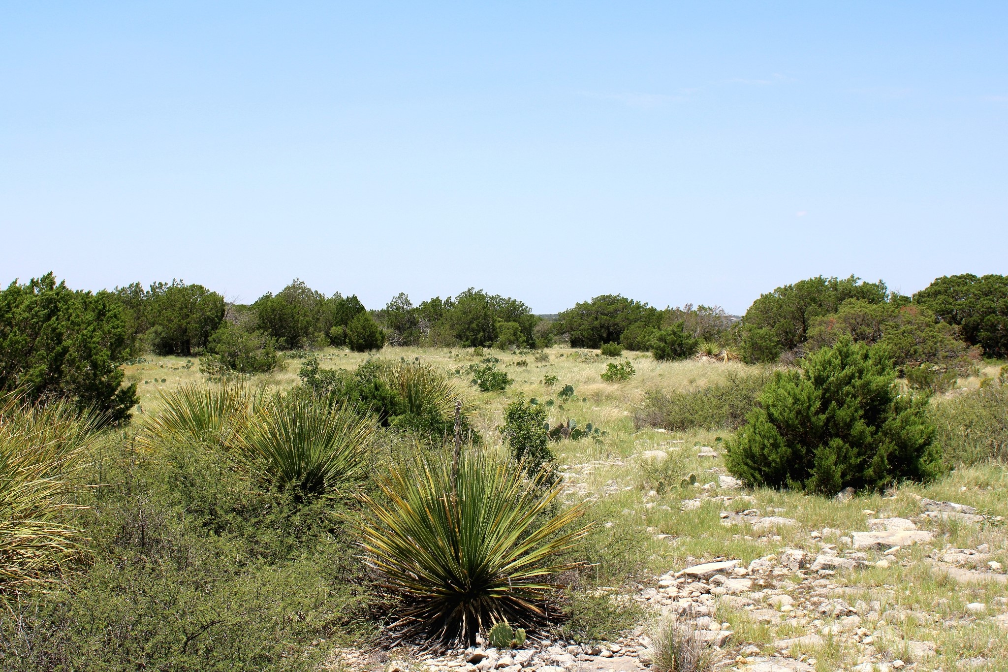 2519 Widmark Road Comstock, TX 78837 - Photo 26 of 48