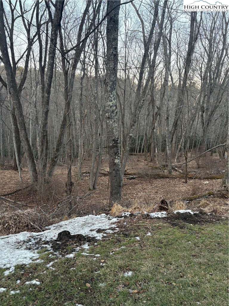 3 D Silo Road Sparta, NC 28675 - Photo 1 of 6