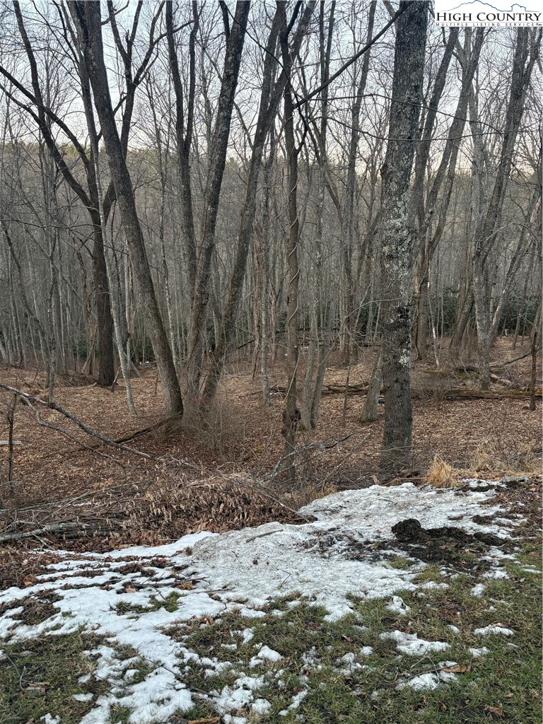 3 D Silo Road Sparta, NC 28675 - Photo 2 of 6