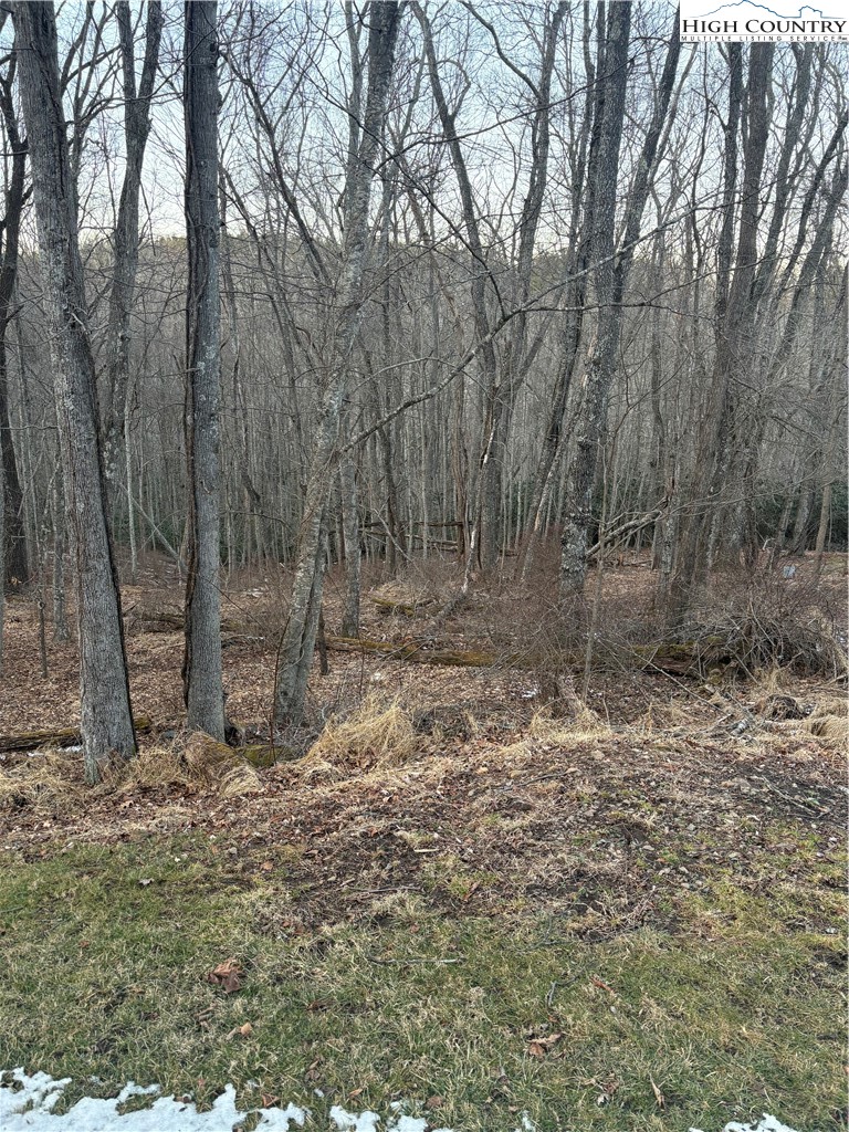 3 D Silo Road Sparta, NC 28675 - Photo 3 of 6