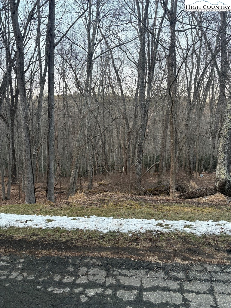 3 D Silo Road Sparta, NC 28675 - Photo 4 of 6