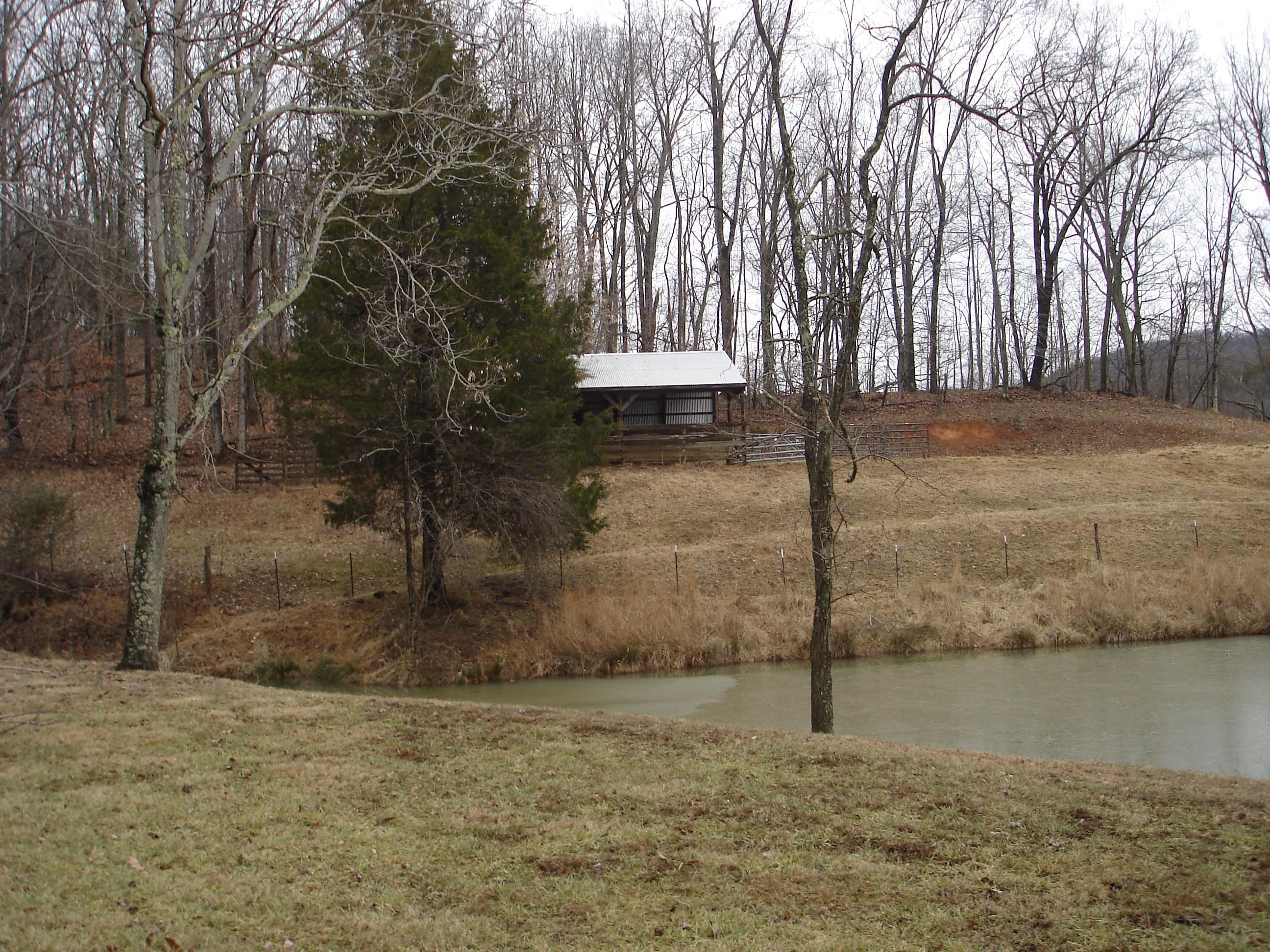 2502 Bore Auger Road Vinton, VA 24179 - Photo 20 of 27 a backyard of a house with lots of green space