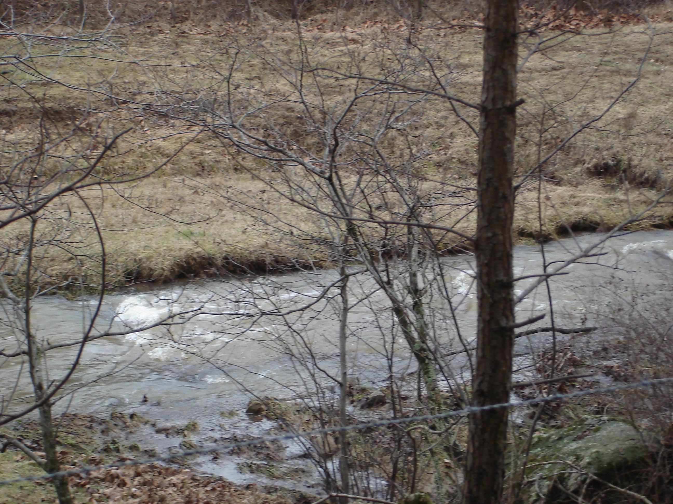2502 Bore Auger Road Vinton, VA 24179 - Photo 22 of 27 a backyard of a house with lots of green space