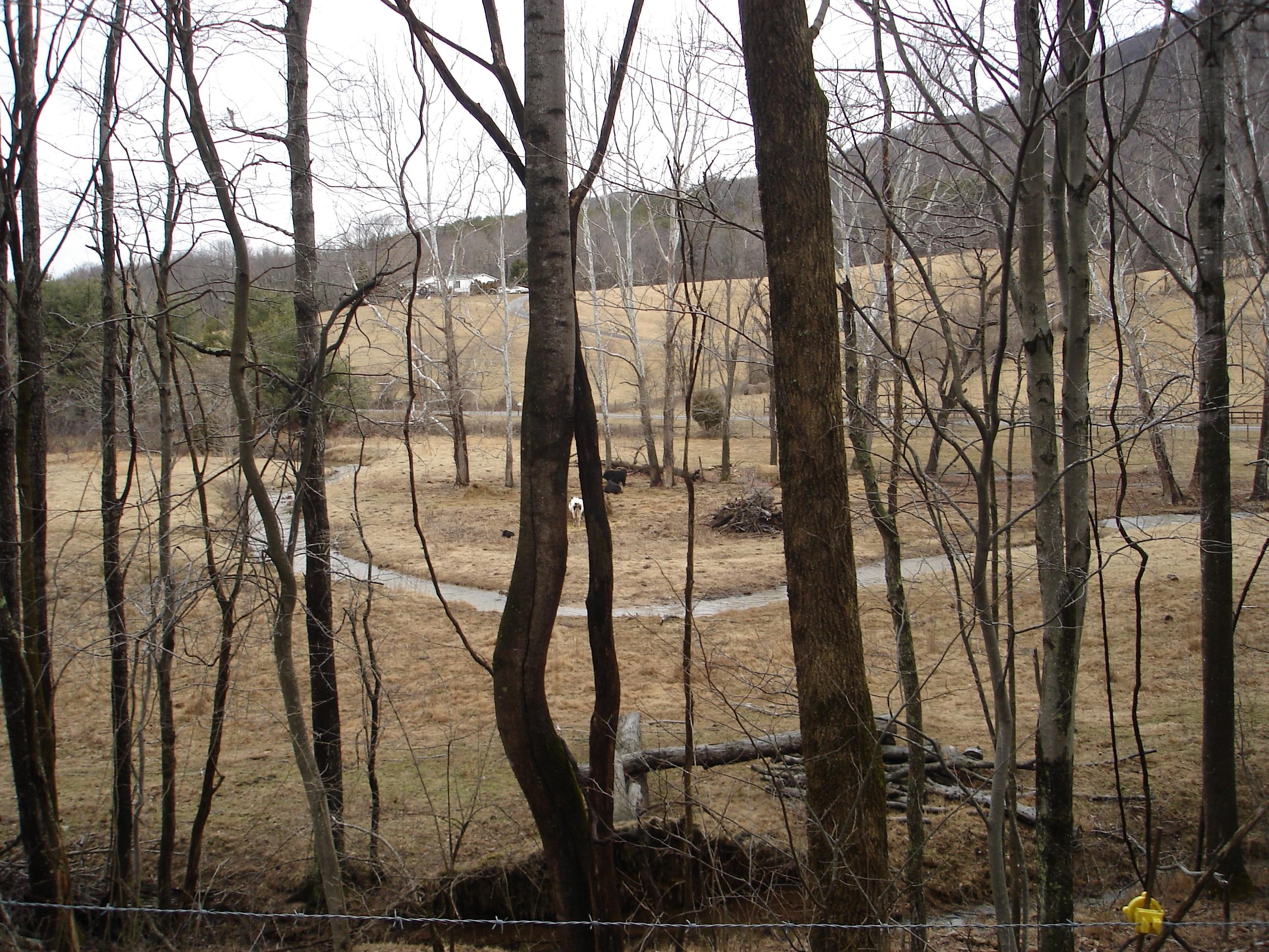 2502 Bore Auger Road Vinton, VA 24179 - Photo 25 of 27 a view of outdoor space with lots of trees