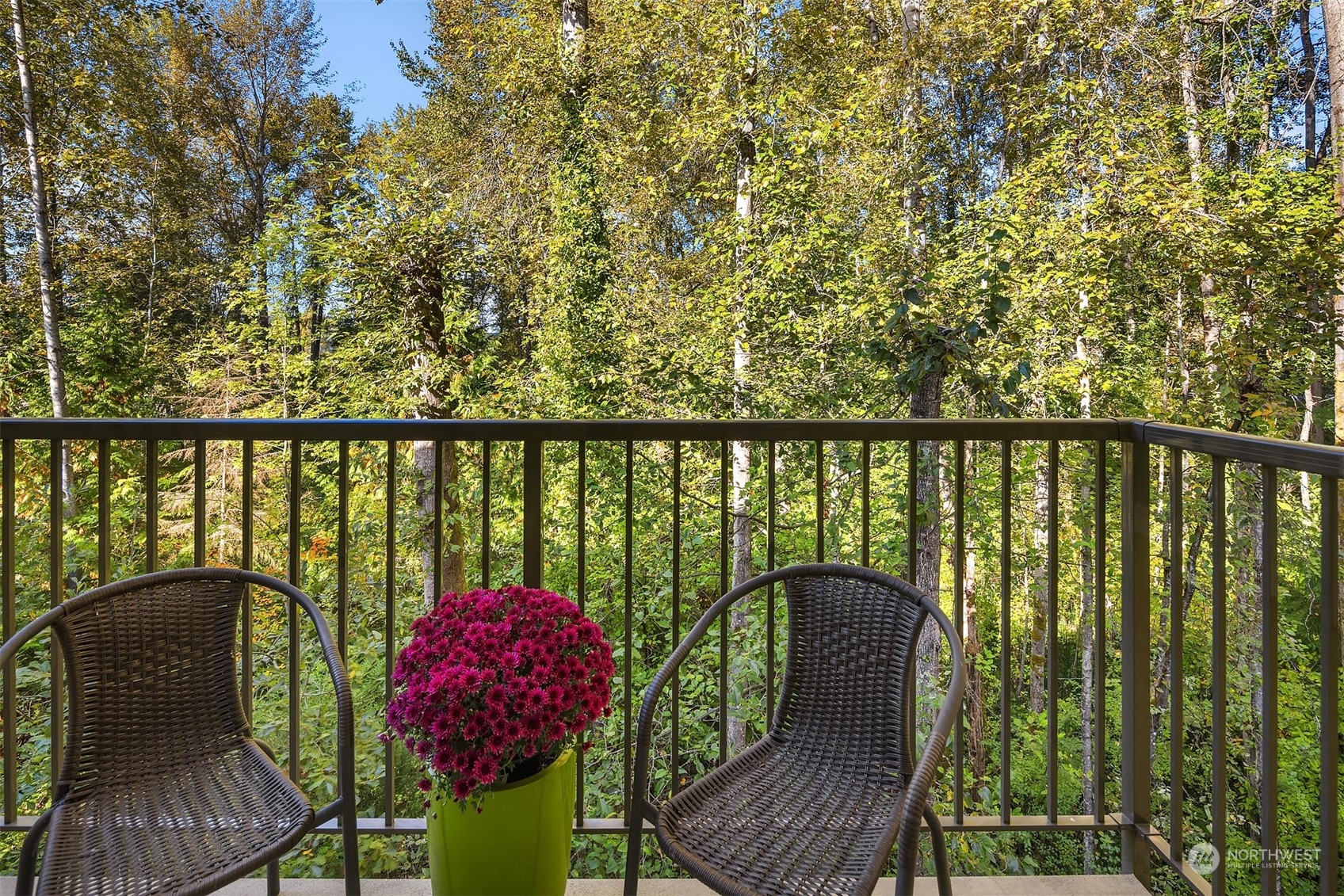 1800 Northeast 40th Street, Unit D203 Renton, WA 98056 - Photo 20 of 22 Gallery Image 20