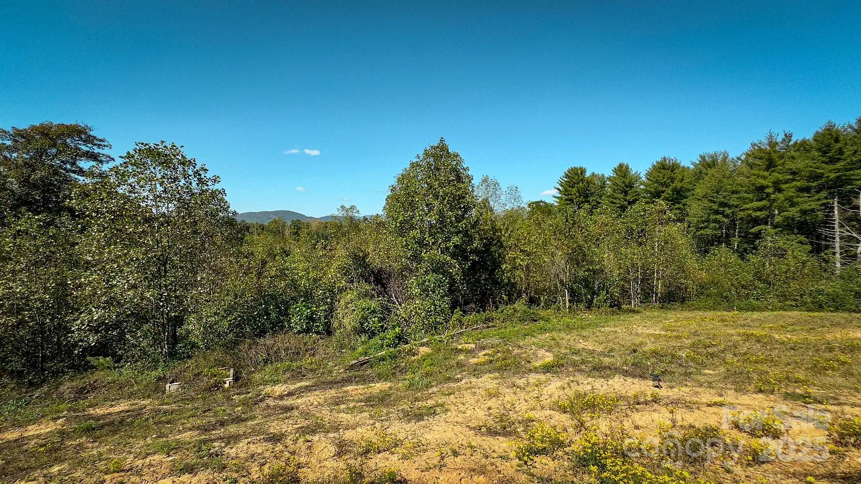 1048 Bauguess Mill Road Traphill, NC 28685 - Photo 23 of 48 Gallery Image 23