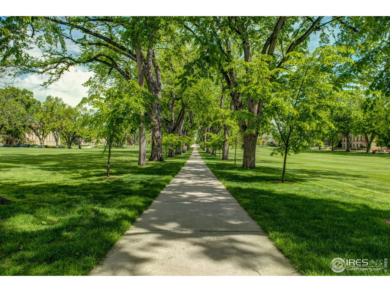 1717 West Drake Road, Unit 5B Fort Collins, CO 80526 - Photo 34 of 34 CSU oval