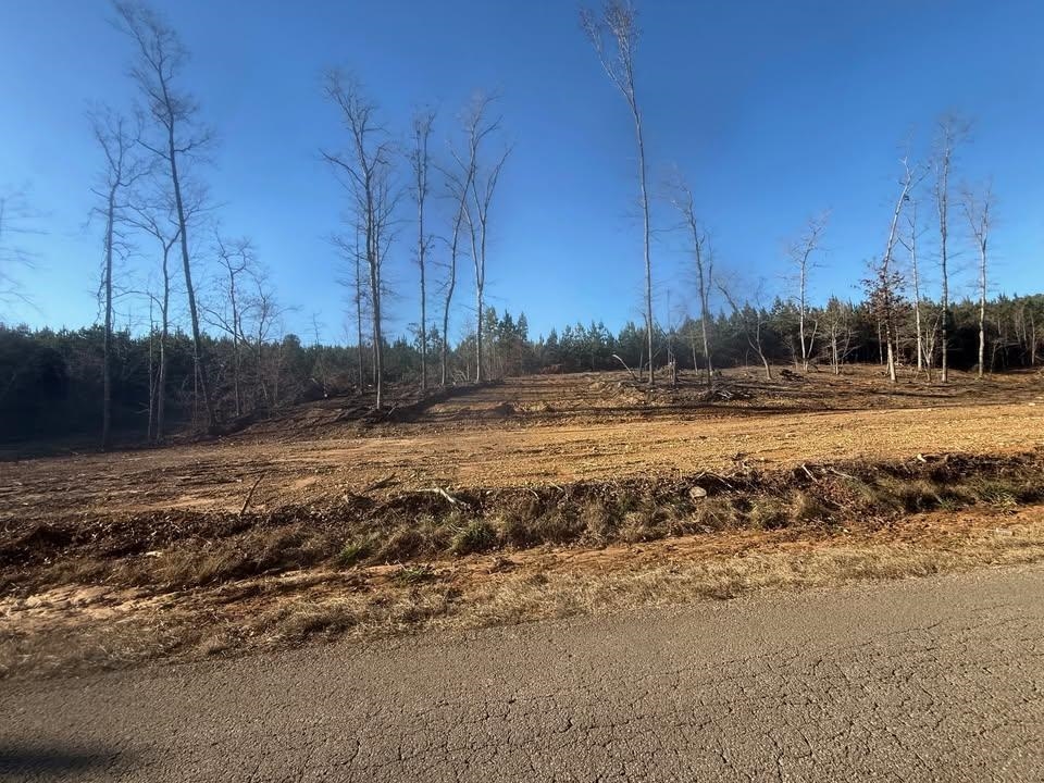 1 B Bruton Branch Road Savannah, TN 38372 - Photo 3 of 9 View of yard