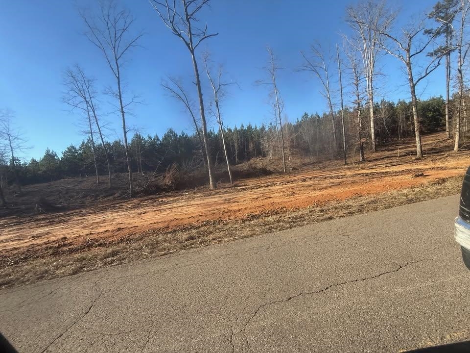 1 B Bruton Branch Road Savannah, TN 38372 - Photo 4 of 9 View of asphalt road