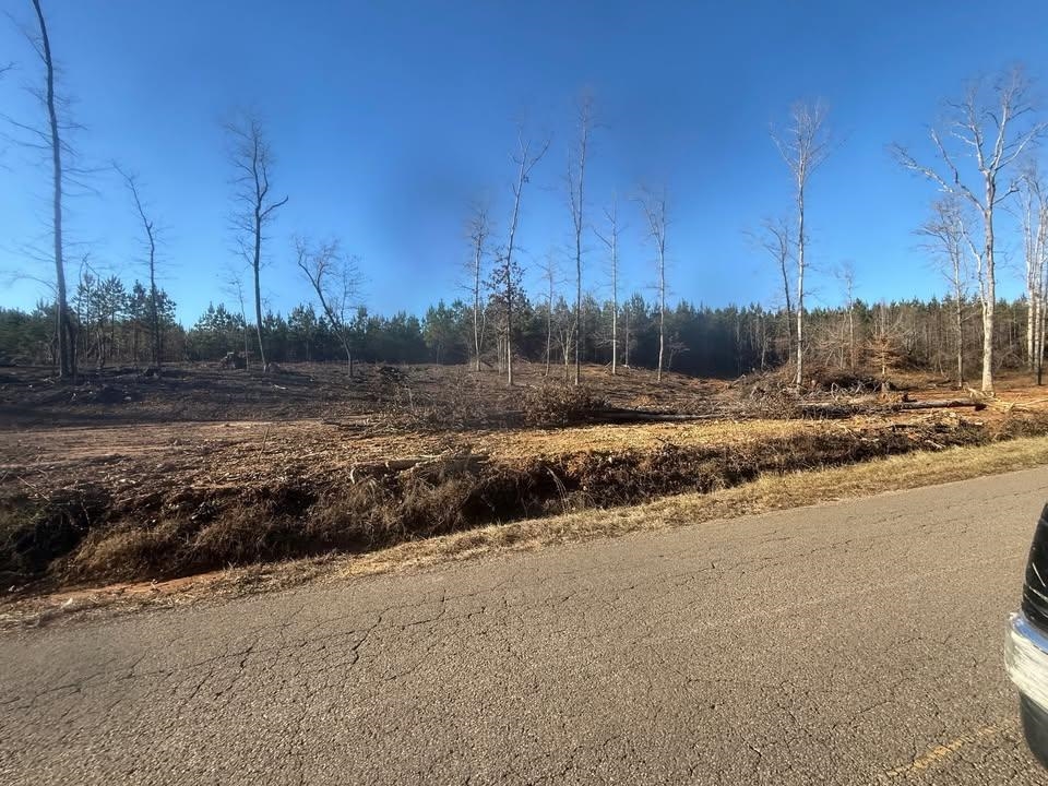 1 B Bruton Branch Road Savannah, TN 38372 - Photo 5 of 9 View of asphalt street