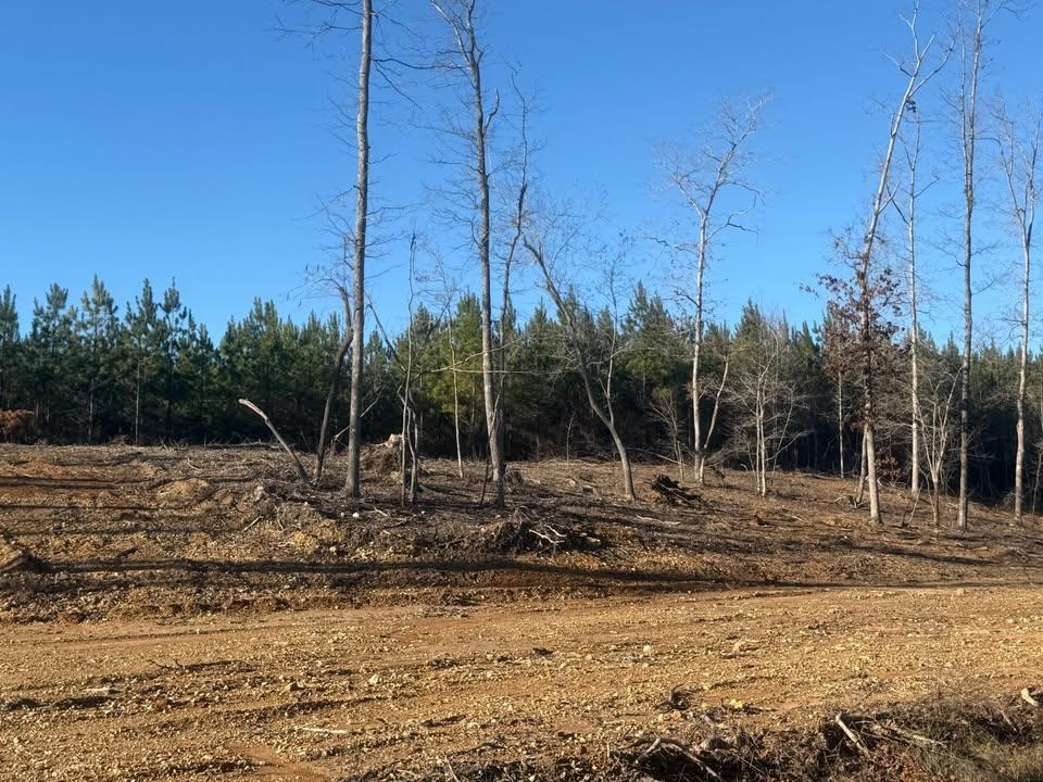 1 B Bruton Branch Road Savannah, TN 38372 - Photo 6 of 9 View of undeveloped land