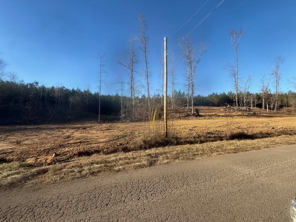 1 B Bruton Branch Road Savannah, TN 38372 - Photo 8 of 9 View of asphalt road